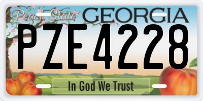 GA license plate PZE4228