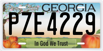 GA license plate PZE4229