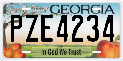 GA license plate PZE4234