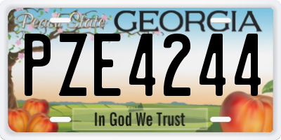 GA license plate PZE4244