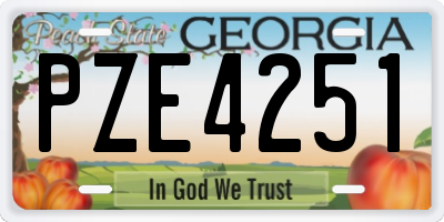 GA license plate PZE4251