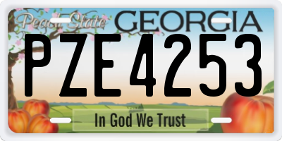 GA license plate PZE4253