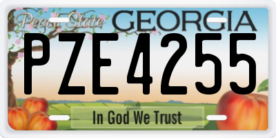 GA license plate PZE4255