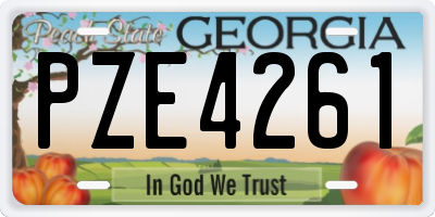 GA license plate PZE4261