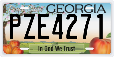 GA license plate PZE4271