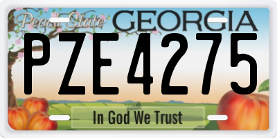 GA license plate PZE4275