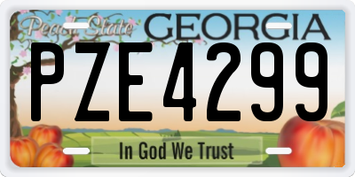 GA license plate PZE4299