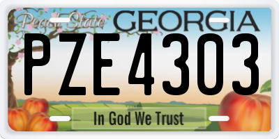 GA license plate PZE4303