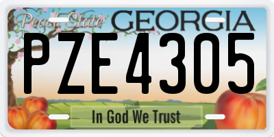 GA license plate PZE4305