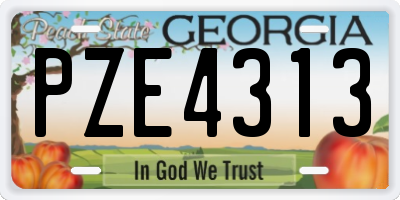 GA license plate PZE4313
