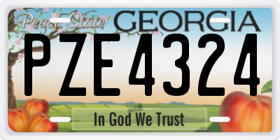 GA license plate PZE4324