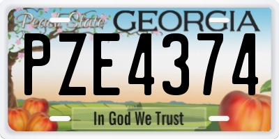 GA license plate PZE4374