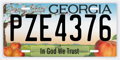 GA license plate PZE4376