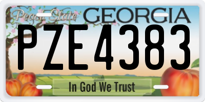 GA license plate PZE4383