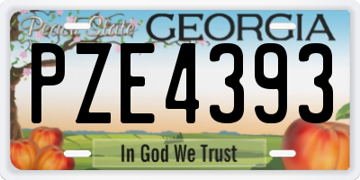 GA license plate PZE4393