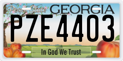 GA license plate PZE4403