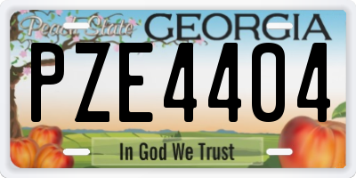 GA license plate PZE4404