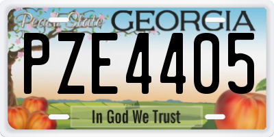 GA license plate PZE4405
