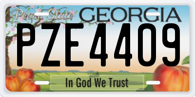GA license plate PZE4409