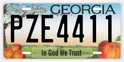 GA license plate PZE4411