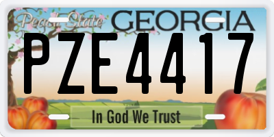 GA license plate PZE4417
