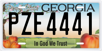 GA license plate PZE4441