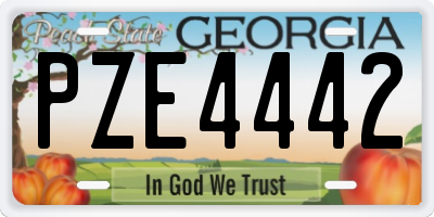 GA license plate PZE4442