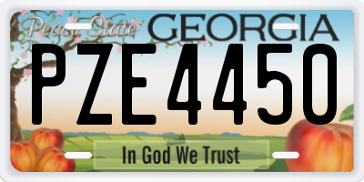 GA license plate PZE4450