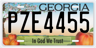 GA license plate PZE4455