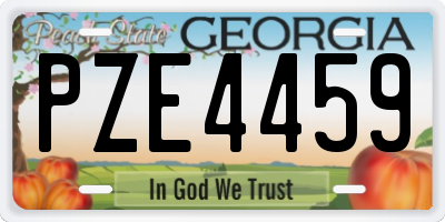 GA license plate PZE4459