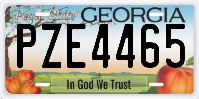 GA license plate PZE4465
