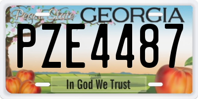 GA license plate PZE4487
