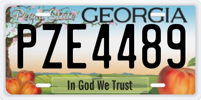 GA license plate PZE4489
