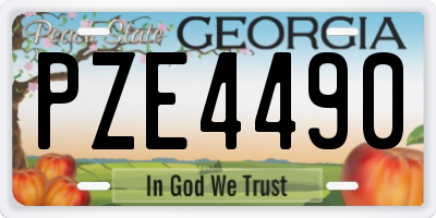 GA license plate PZE4490