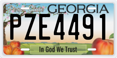 GA license plate PZE4491