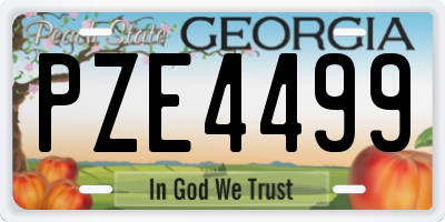 GA license plate PZE4499