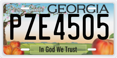 GA license plate PZE4505