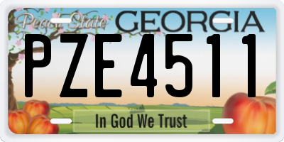 GA license plate PZE4511