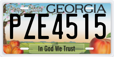 GA license plate PZE4515
