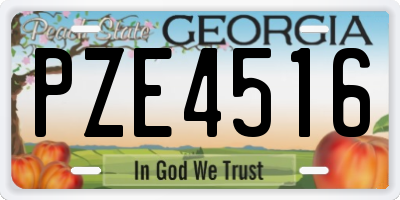 GA license plate PZE4516