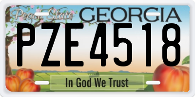 GA license plate PZE4518