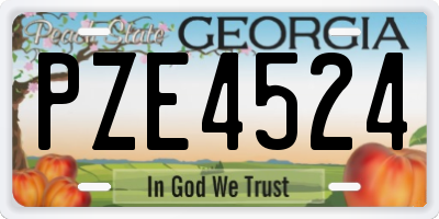 GA license plate PZE4524