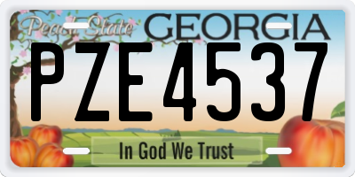 GA license plate PZE4537