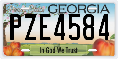 GA license plate PZE4584