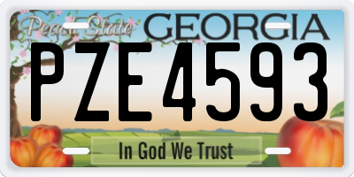 GA license plate PZE4593