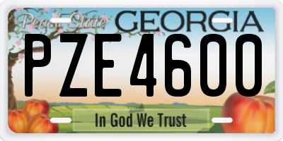 GA license plate PZE4600