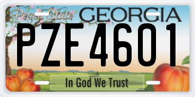 GA license plate PZE4601