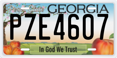 GA license plate PZE4607