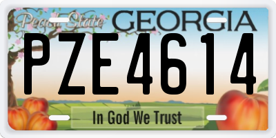 GA license plate PZE4614