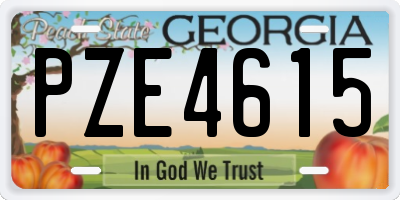 GA license plate PZE4615